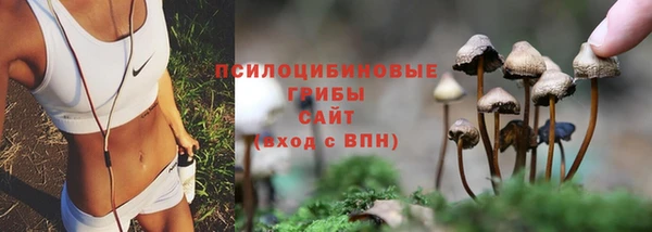 марки nbome Арсеньев
