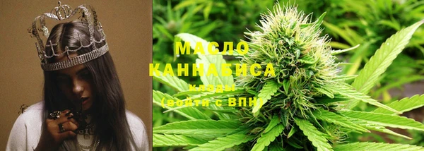 spice Инта