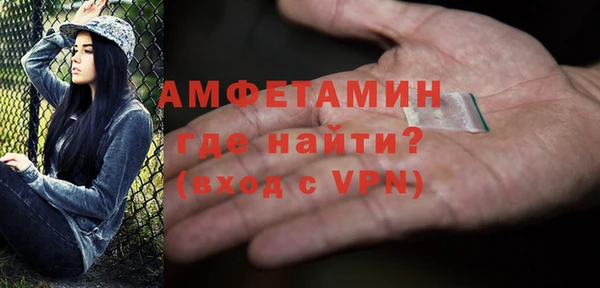 дурь Инсар