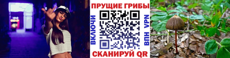 Галлюциногенные грибы GOLDEN TEACHER  мориарти наркотические препараты  Пролетарск 